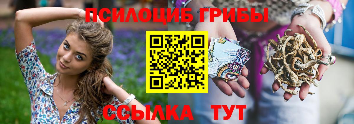 Псилоцибиновые грибы мухоморы  Вход с VPN  купить наркоту  Ярославль  Галлюциногенные грибы GOLDEN TEACHER 